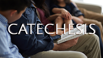 Catechesis family Bible together PD 356x200