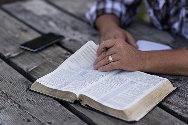 Bible hands pen