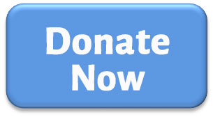 Donate Now Button